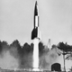 Image for article titled The First Animals In Space